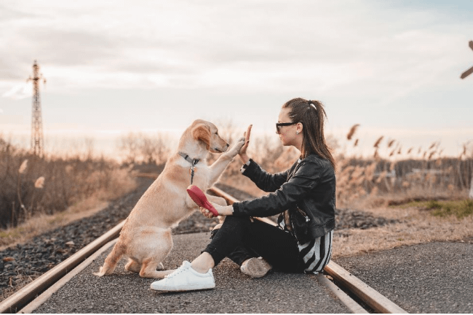 A dog owner training her dog