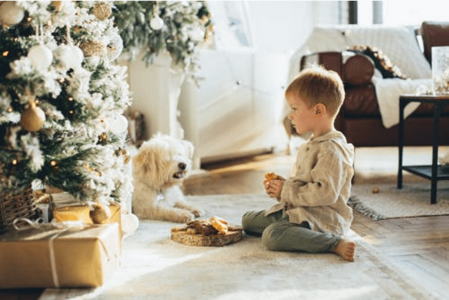 sitting with dog in front of Christmas tree, enjoying food.