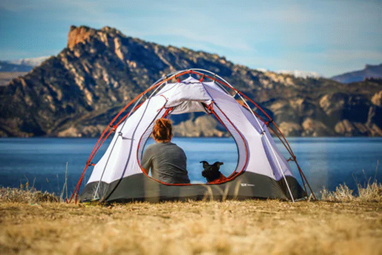 a dog and a girl camping near a lake