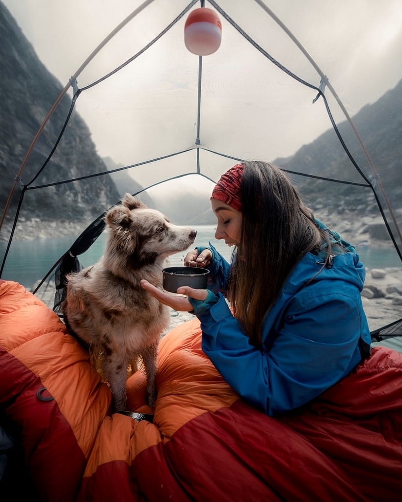 Woman and dog camping outdoors