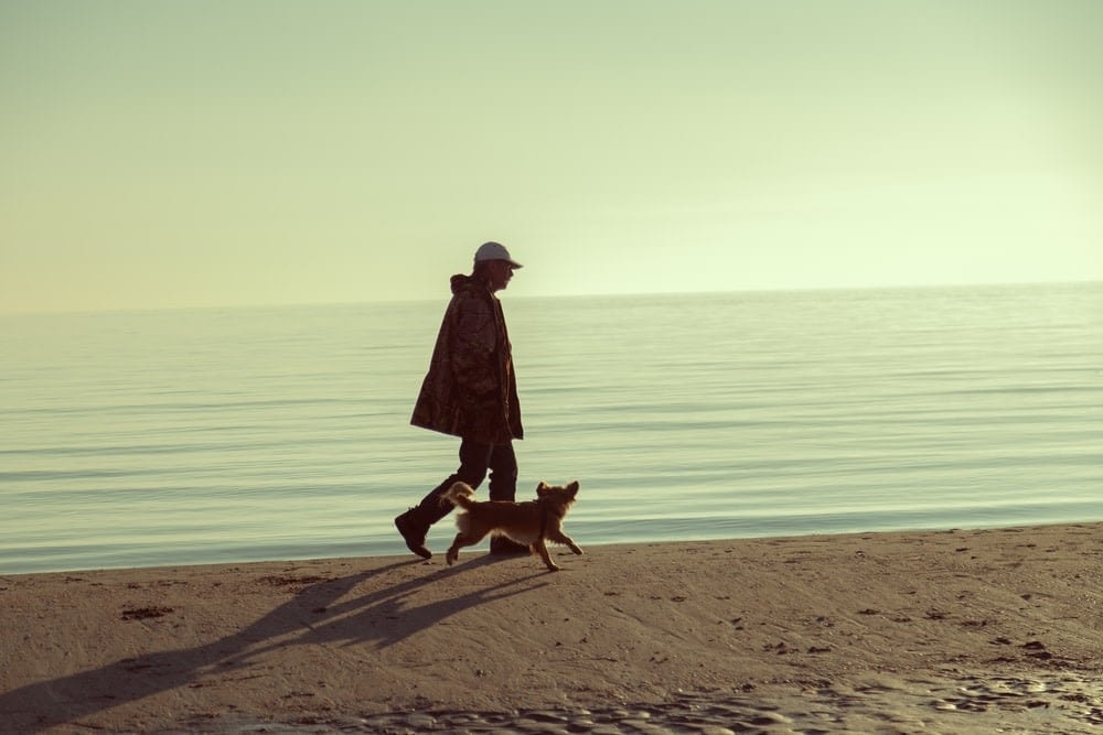 A person walks with their dog on the beach
