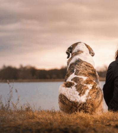 Dog and owner enjoying a view at the lake