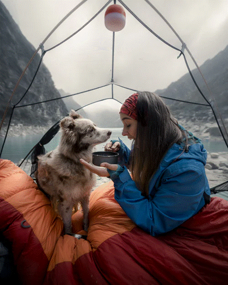 a girl camping with a dog
