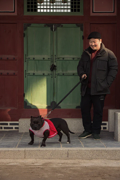 a person next to a black dog on a leash